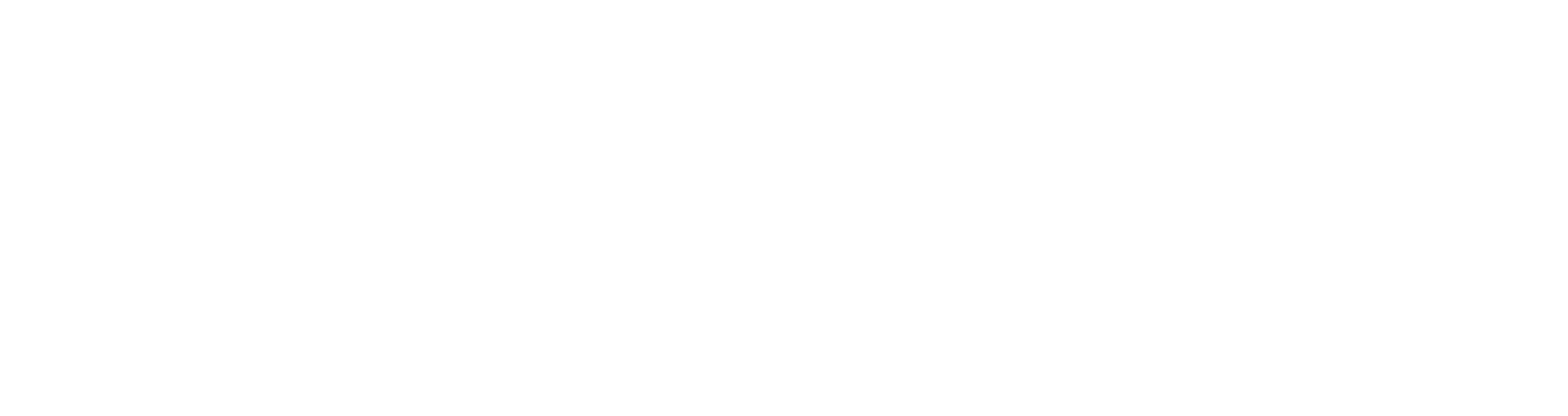 StoreBrid
